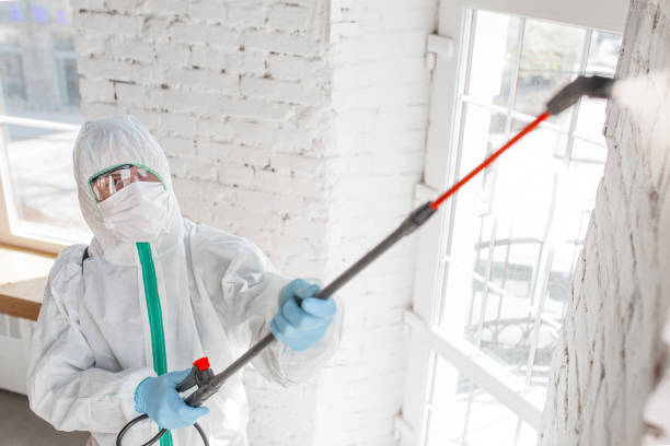 Best Mold Prevention Services  in Rochester, PA