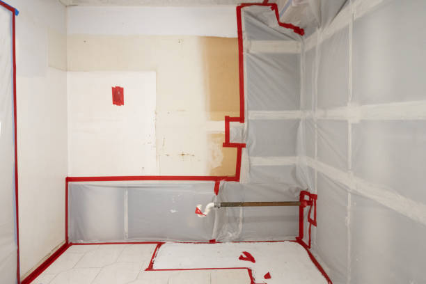 Professional Mold Removal in Rochester, PA