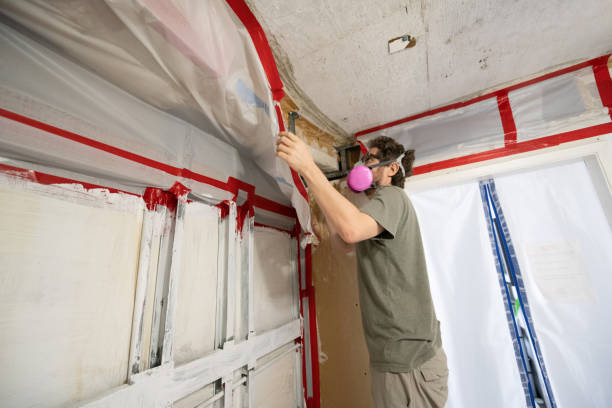 Best Airborne Mold Testing  in Rochester, PA
