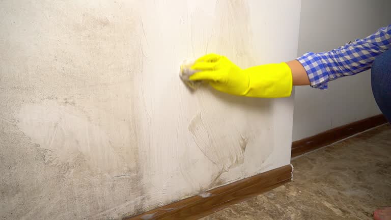 Best Indoor Air Quality Assessment  in Rochester, PA