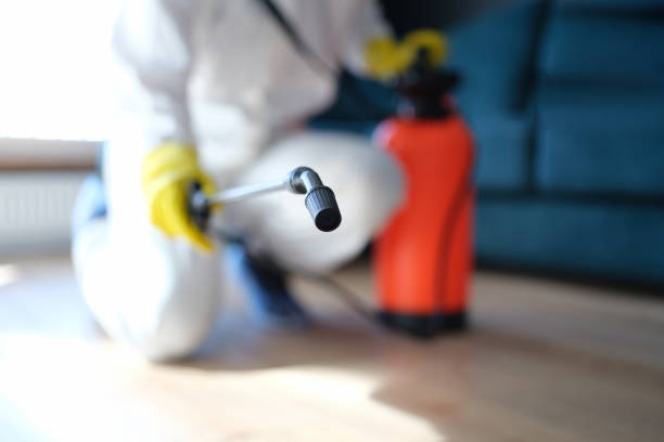 Mold Removal for HVAC Installations in Rochester, PA