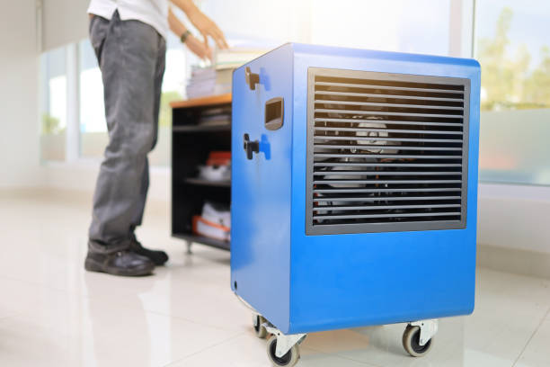 Best Mold Removal for HVAC Installations  in Rochester, PA