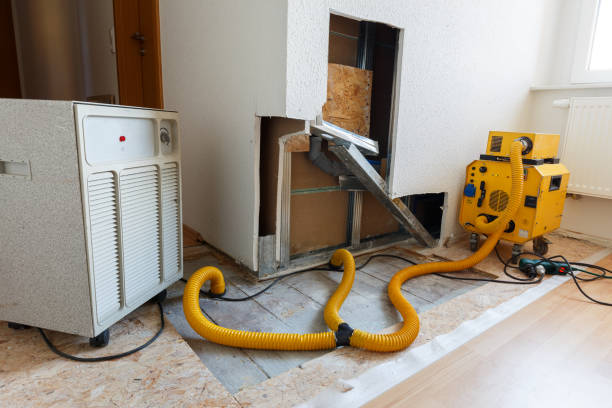Best Mold Documentation for Insurance Claims  in Rochester, PA