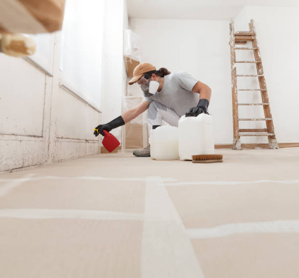Best Crawl Space Mold Remediation  in Rochester, PA